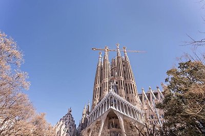 Appartamento di lusso Viladomat a Barcellona