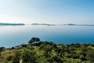 Guest House Fontana - Standard One Bedroom Ap...
