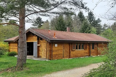 Ferienhaus Donau 31 Glückskäfer