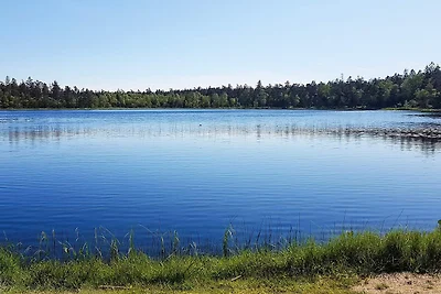 6 persoons vakantie huis in Vittsjö