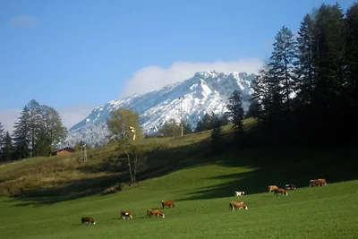 Haaralm - Haus Daniel