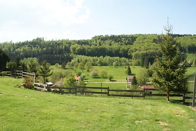 Gemütliches Ferienhaus mit Garten in...