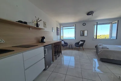 Apartments Matea - Studio with Sea View (2 Ad...