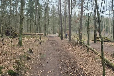 Chalet in der Nähe von Wanderwegen und Wald