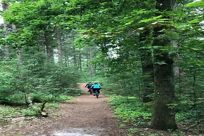 Lodge w Bospark 't Wolfsven z Ogrodem