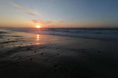 Évasion panoramique en bord de mer -- By Trau...