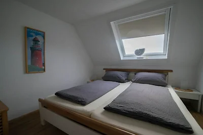 -KREBS- im -muschelsöker-