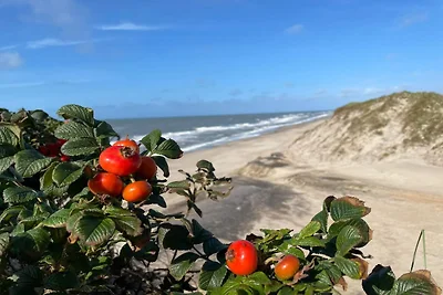 5 Personen Ferienhaus in Ringkøbing-By Traum