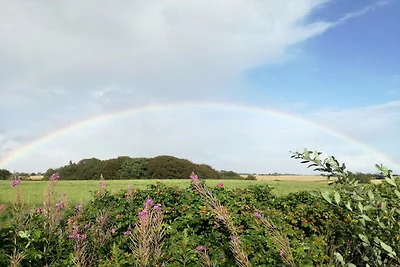 4 sterren vakantie huis in Hornsyld