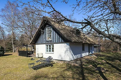 9 Personen vakantie huis in Frederiksværk
