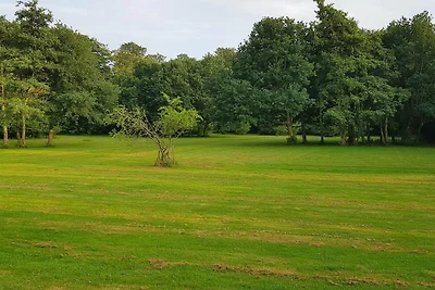 6 Personen Ferienhaus in Præstø-By Traum