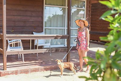 Gezellig vakantiehuis met barbecue