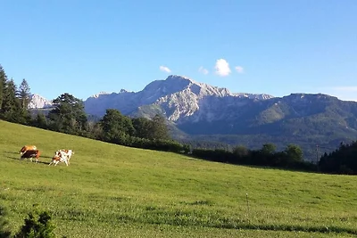 Lärcheck-Berchtesgaden