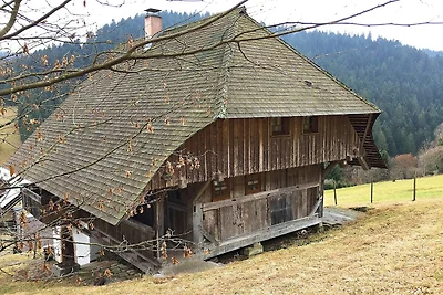 Malerisches Ferienhaus im Schwarzwald mit...