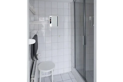 Ferienhaus in domburg mit Schwimmbecken