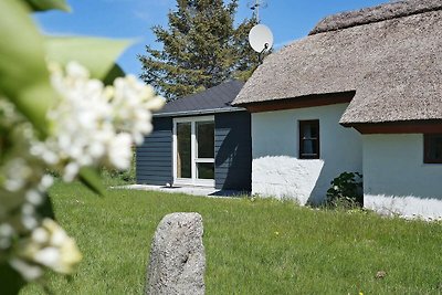 Gemütliches Cottage mit Terrasse in Vesløs