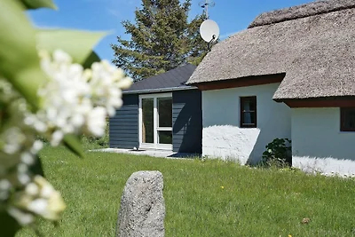 6 Personen Ferienhaus in Vesløs-By Traum