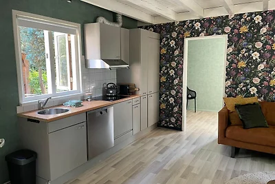 Gemütliches Ferienhaus in Schoonloo in einer ...