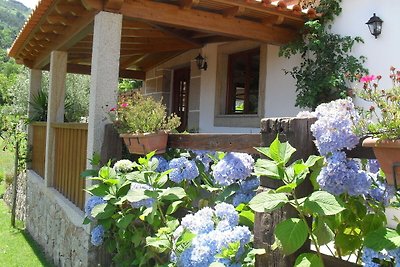 Countryside Cottage in Ponte De Lima with Pri...