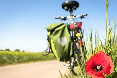 6 Personen Ferienpark haus in Skagen