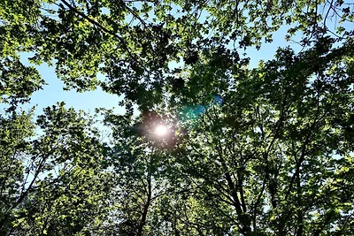 10 Personen Ferienhaus in Brovst