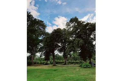 Ferienhaus mit 3 Schlafzimmer