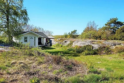Magisches Kustenrefugium auf Tjorn-By Traum