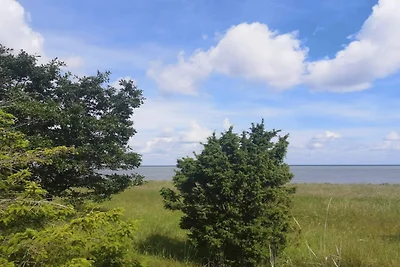 6 Personen Ferienhaus in Glesborg-By Traum