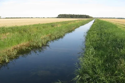 6 persoons vakantie huis in Dannemare