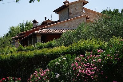 Villa di lusso a Vasciano Umbria con piscina...