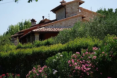 Luxe Villa in Vasciano met privé zwembad