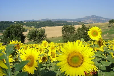 Belvilla di OYO La Colonnetta