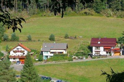 Weissenbach in vakantiehuis Schenk