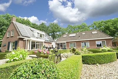 Großzügiges Ferienhaus in Exloo in Waldnähe