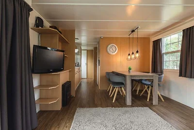 Schönes Ferienhaus in Overijssel