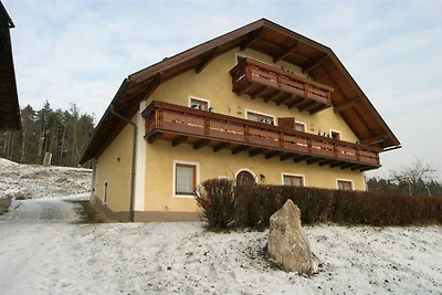 Appartamento in Carinzia vicino all'area...