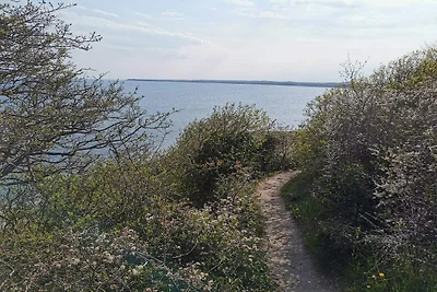 14 Personen Ferienhaus in Ebeltoft-By Traum