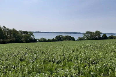 4 persone case ad Aabenraa-By Traum