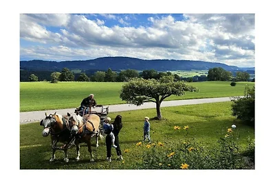 Ferienhaus in Weitnau mit Schwimmbecken