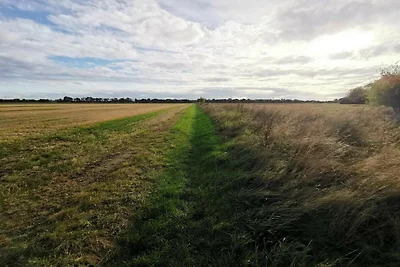 7 Personen Ferienhaus in Rødby-By Traum