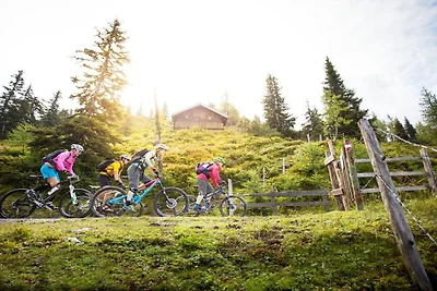 Wohnung in Flachau mit Bergblick
