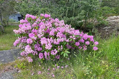 5 Personen Ferienhaus in VÄRMDÖ