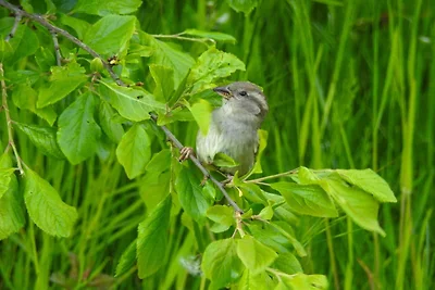 5 Sterne Ferienhaus in Køge