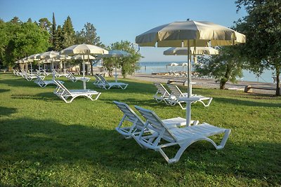 Holiday park in a beautiful location with fac...