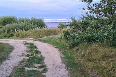 10 persone case ad Ulfborg-By Traum