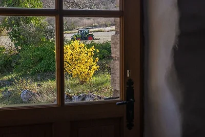 Ferienhaus in Saignon mit Schwimmbecken