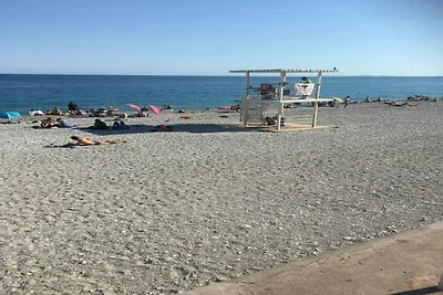 In de regio (zomer) (>5 km) In de regio (zomer) (>5 km)