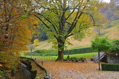 Luxuriöse Mühle mit Hallenbad in den Ardennen