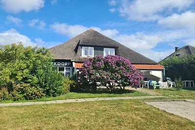 Gemütliche Ferienwohnung auf Texel