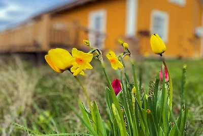 4 sterren vakantie huis in HALTORP
